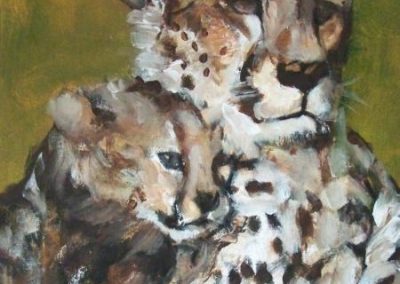 Cheetah togetherness