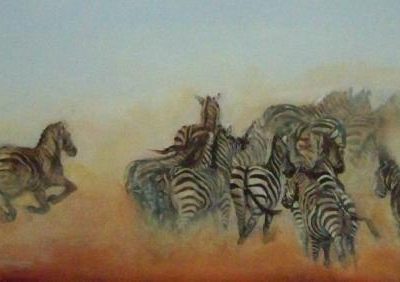 Zebra stampede